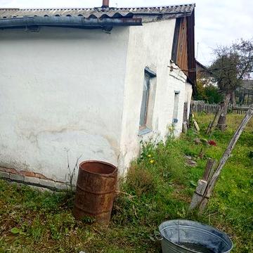 Будинок з присадибною ділянкою