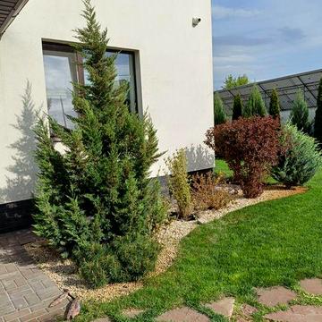 Будинок, в який закохаєшся з першого погляду