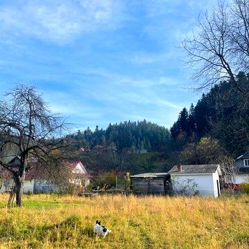 Продаж деревяного будинку біля річки у с. Шешори , ділянка 8 сот.