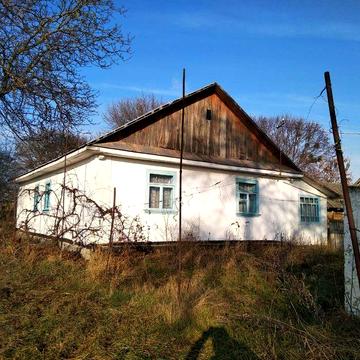 Земельна ділянка, будинок, дача.