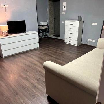 Брюллова вул., 12