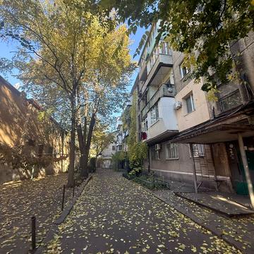 Бориса Айзенберга пров. (Катаєва), 8