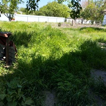 Здам будинок ! Будинок з подвірям