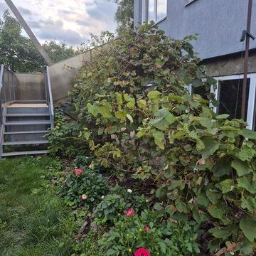 Будинок з виходом до р.Дніпро