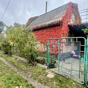 Дача коло Дніпра