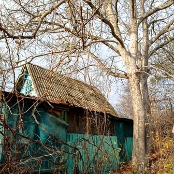 Продам дачу в місті Фастові.