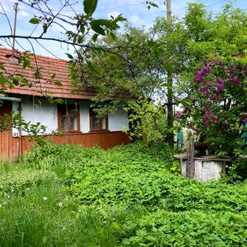 Продам будинок в Ценяві та землю,  20 хв до Коломиї