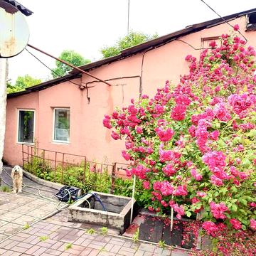 Аренда 2х ком. дома. Парк. Центр.