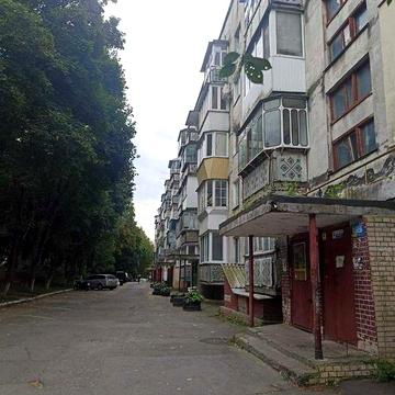 Трикімнатна чешка на виставці