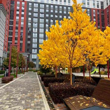 Продаю однокімнатну кв. з лоджією ЖК Ірпінь сіті Вигідна ціна! БЕЗ% ЖК Ірпінь сіті