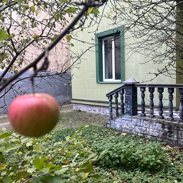 Володимира Антоновича вул. ()