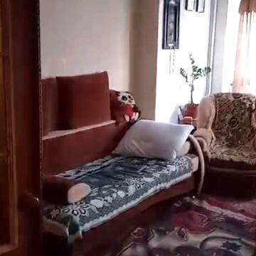 Ярослава Баїса вул. (Володимира Висоцького), 23