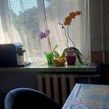 Бориспільська вул., 49