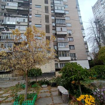 Писаржевського вул., 11