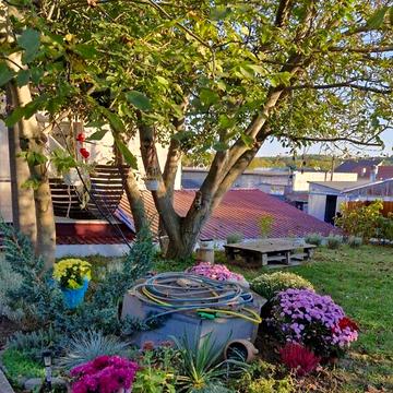 Довгострокова оренда 3к Дім Якова Шепеля вулиця