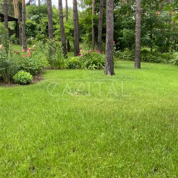 Центральна