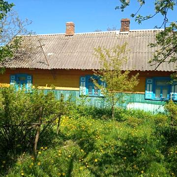 Продається будинок в с.Бірки