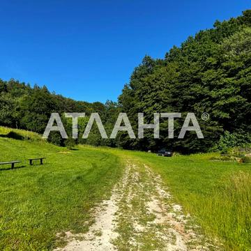 Центральна