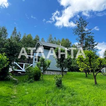 Центральна