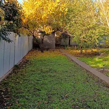 Амбулаторний пров., 13