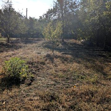 Продам/обміняю дачу, мічурінець