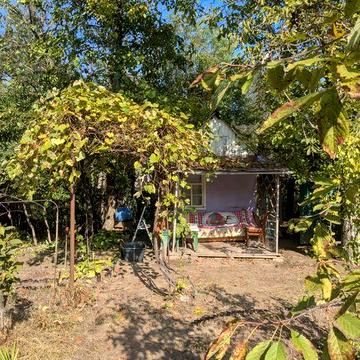 Продам/обміняю дачу, мічурінець