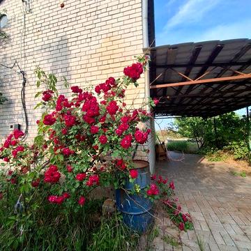 Аренда дачи в Новоселовка 4 комнаты  с мебелью и техникой с 20.11