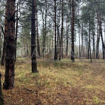 Плюти, Обухівський, Київська область 570000.0 USD