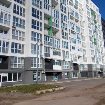 Рапопорта, 43