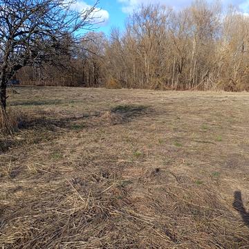 Седнів, Чернігівський, Чернігівська область 40000.0 USD