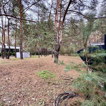 Березовий провулок