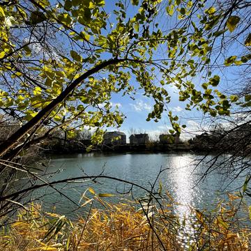 Гідності вул. (Жертв Революції)