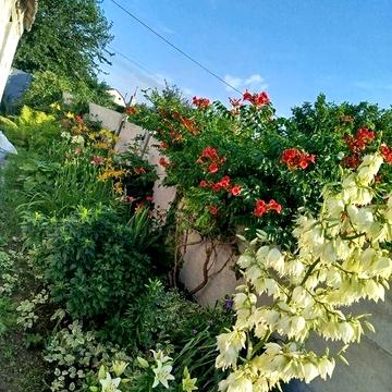 Продам  будинок .