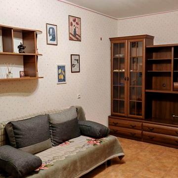 Сдам однокомнатную квартиру (1я станция Люстдрофской)