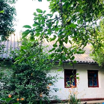 Продається будинок (земельна ділянка)