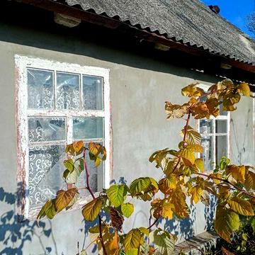 Продам будинок в селі Саливонки Білоцерківський район Київська область