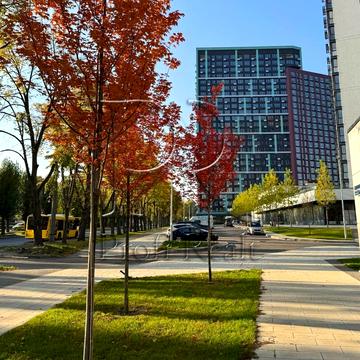 Віктора Некрасова вул. (Північно-Сирецька), 10-А