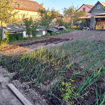 Шевченка, 25