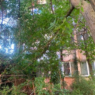 СРОЧНО! 2 к в сотовом проекте с палисадником на пр Добровольского 126