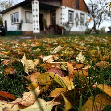 Продам будинок у мальовничому селі.