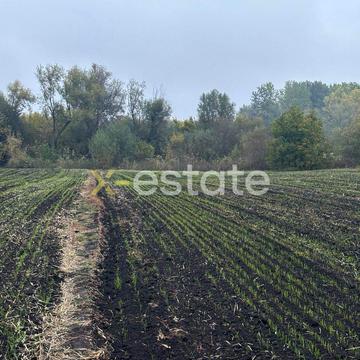 Ольховського, 12