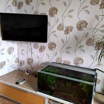 Здається 2-х кімнатна квартира