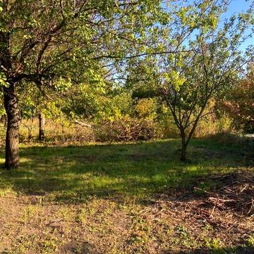 Продам дачу от ХОЗЯИНА (РТС Тракторостроитель, ХТЗ)