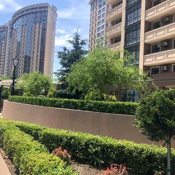 Однокомнатная квартира в ЖК Элегия Парк на Генуэзской/Аркадия