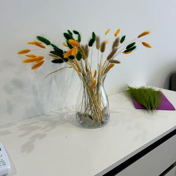 Олександра Олеся вул., 8/17