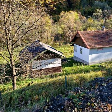Будинок в Карпатах