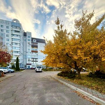 Цікава пропозиція на Митниці