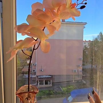 Проїзна вул., 13