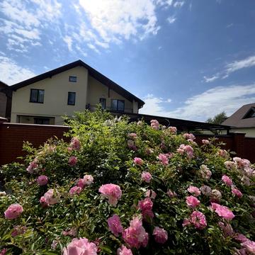 Обухiвська вул., 88