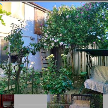 Ефима Геллера